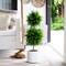 3.5ft. UV Resistant Cedar Double Ball Topiary Tree in White Decorative Planter